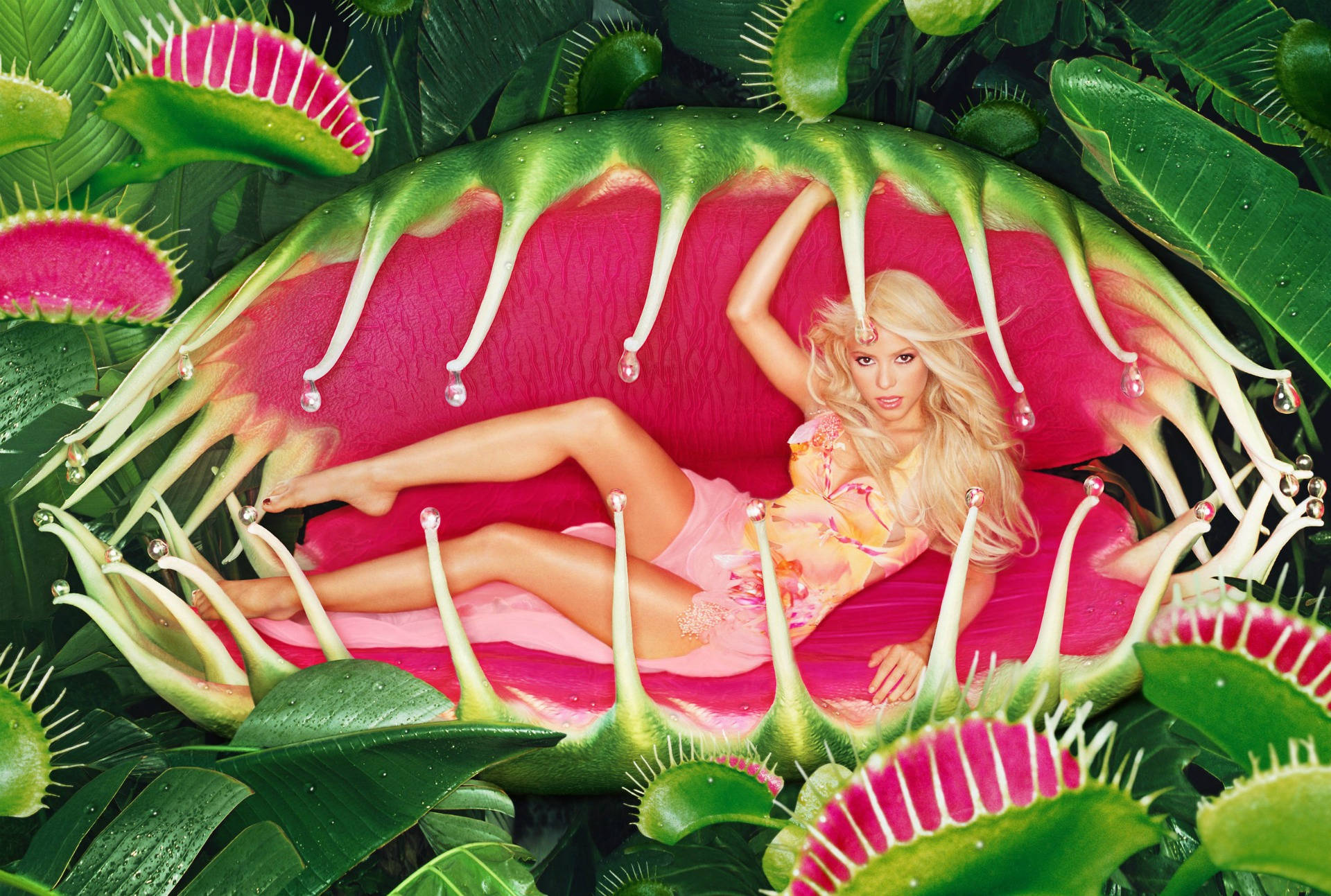 Shakira Venus Flytrap Wallpaper