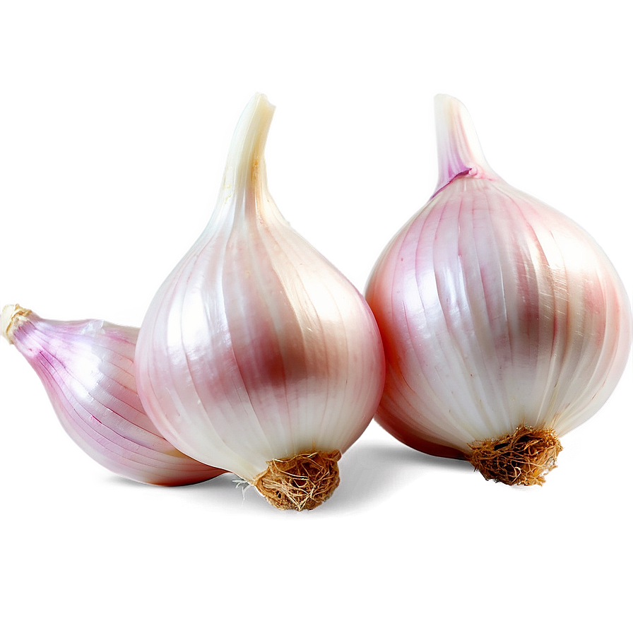 Shallots Onion Png Oag64 PNG