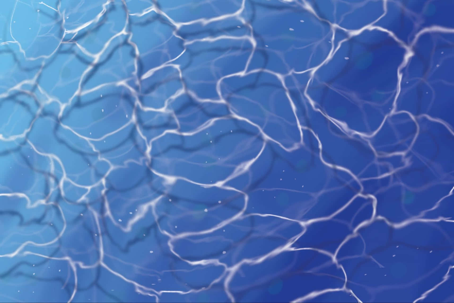 Shallow Pool Water Wallpaper