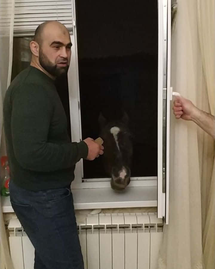 Shamil Abdurakhimov With Horse By The Window Wallpaper