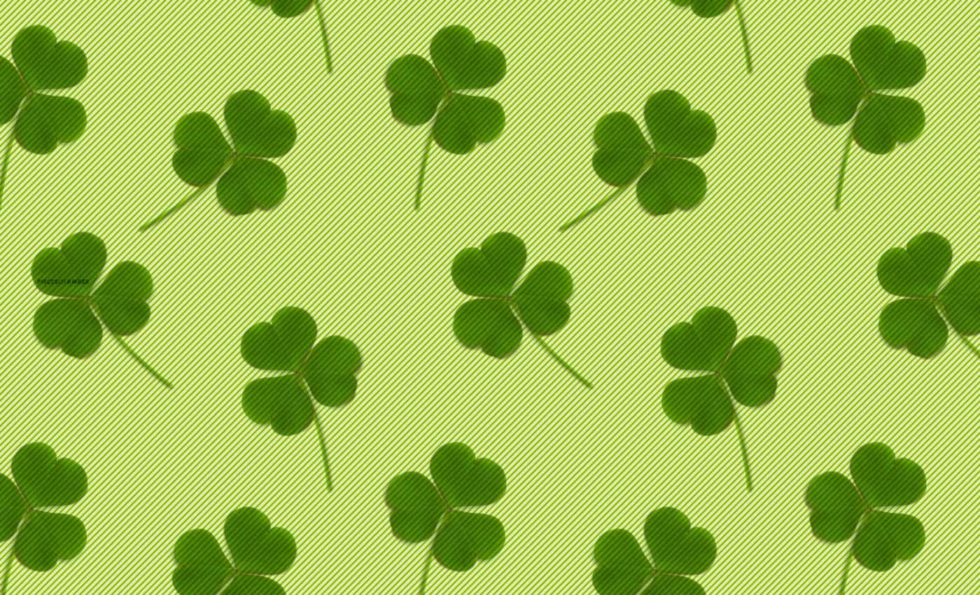 A green clover with three shamrocks in the middle Wallpaper