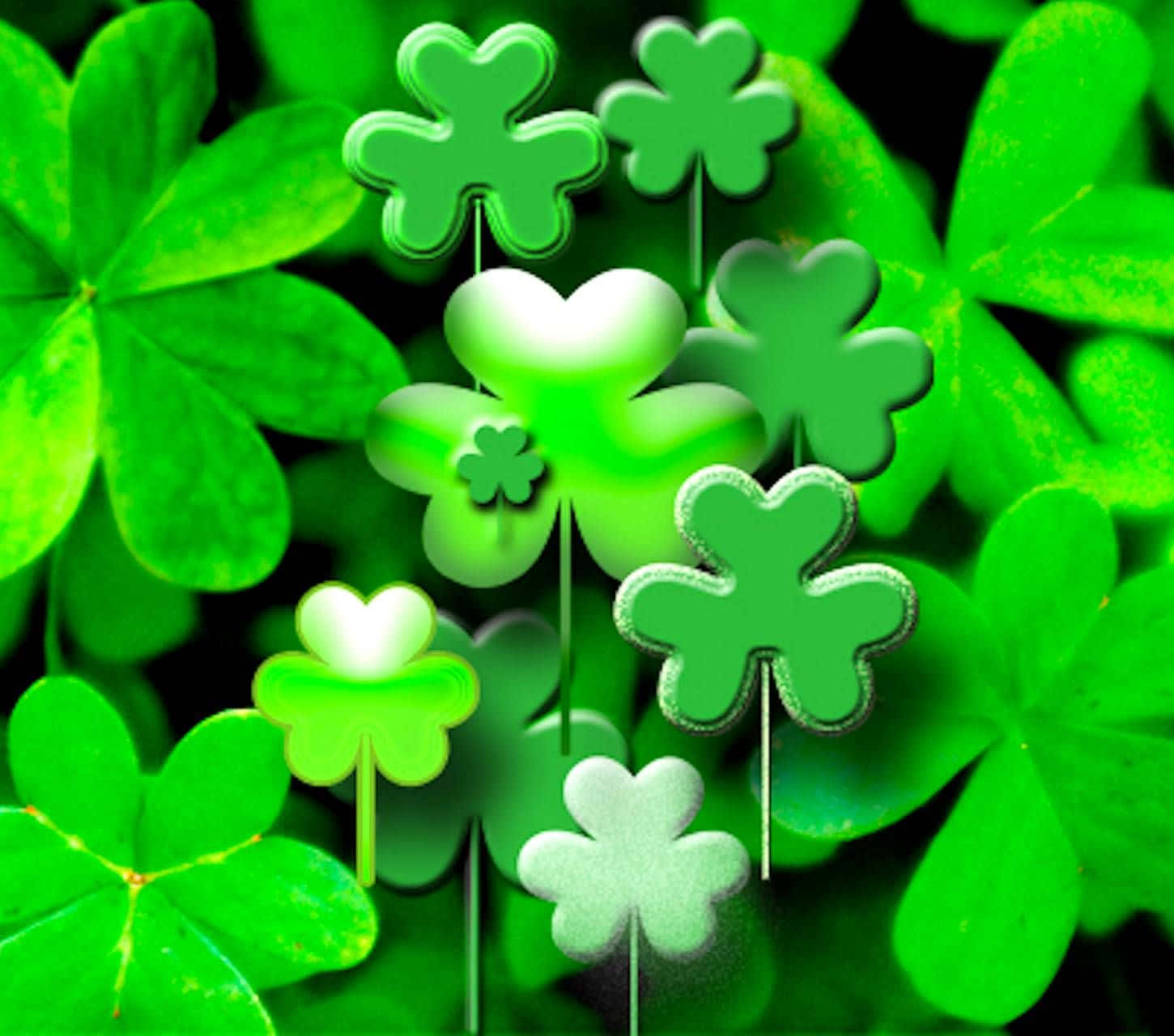 The luck of the Irish: Celebrate with a Shamrock Wallpaper
