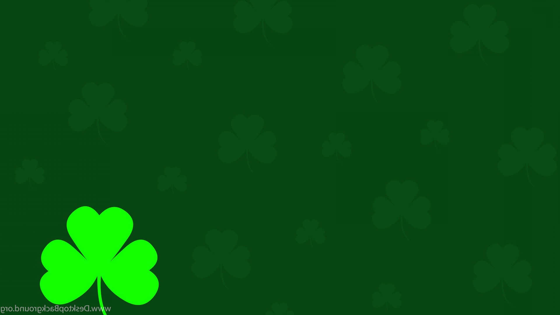Shamrock, the symbol of Irish luck and heritage Wallpaper