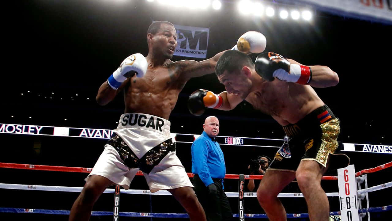 Shane Mosley Missing Punch Wallpaper
