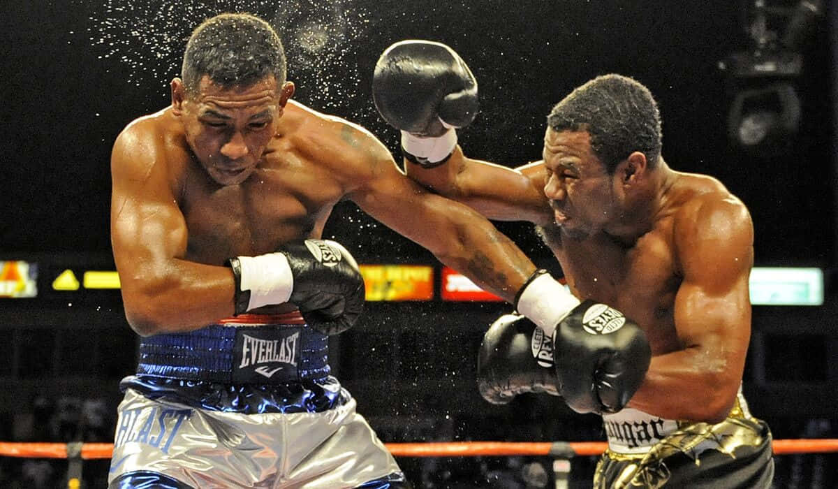 Shane Mosley Missing Punches Wallpaper