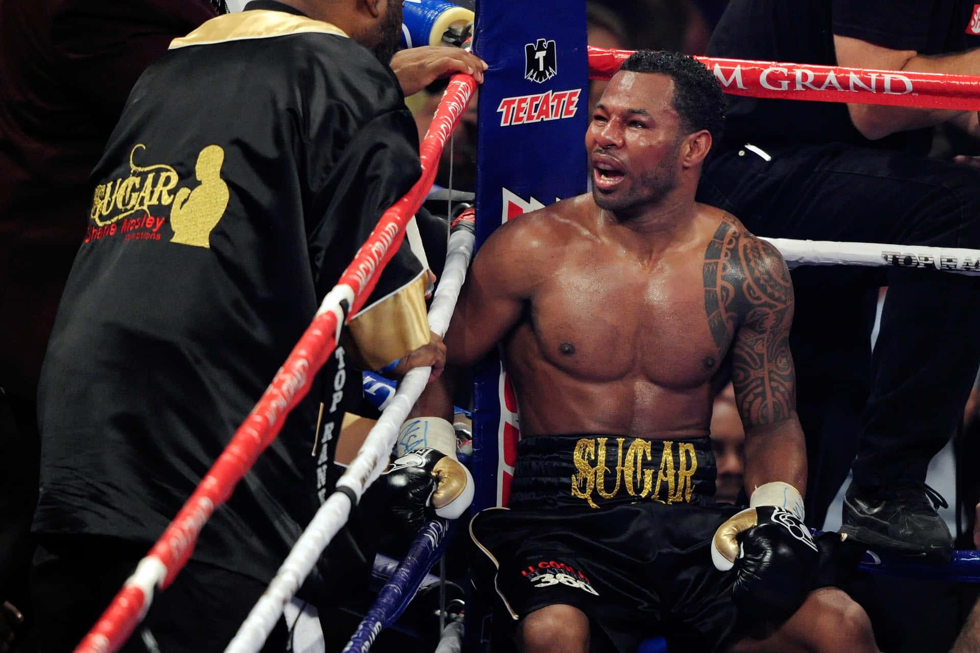 Shane Mosley Resting During Fight Wallpaper