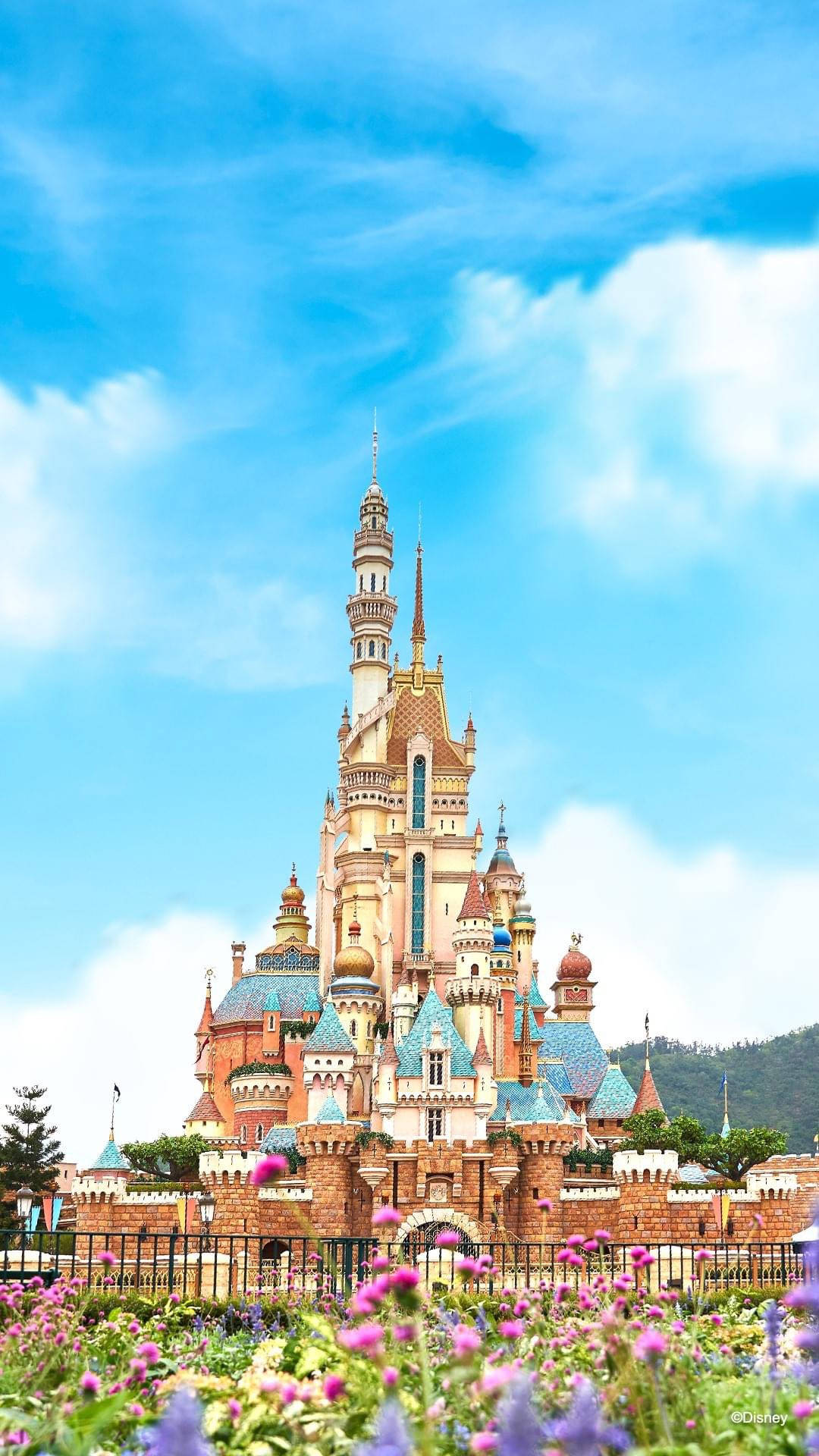 Shanghai Disney Castle Picture