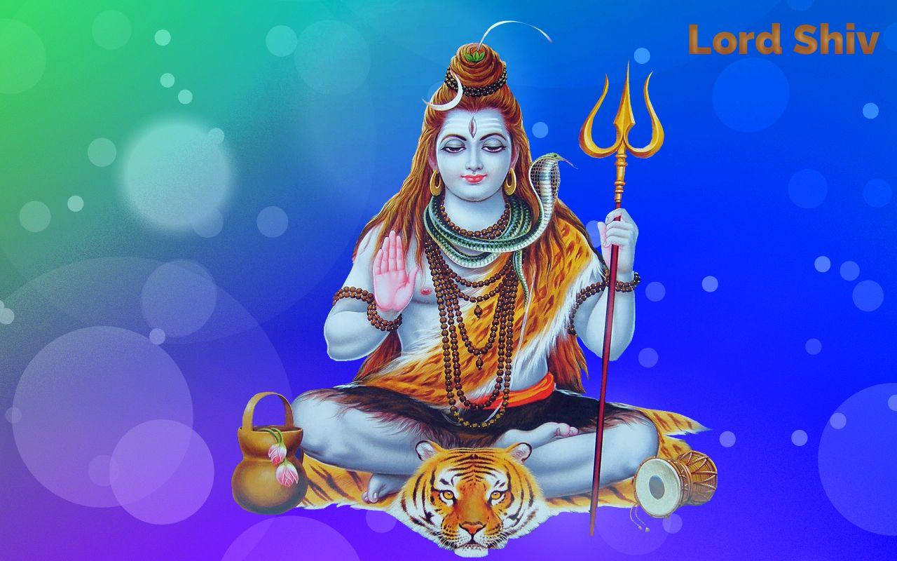 Download Shankar Bhagwan Shiva Sits On Tiger With Colorful Backdrop  Wallpaper 