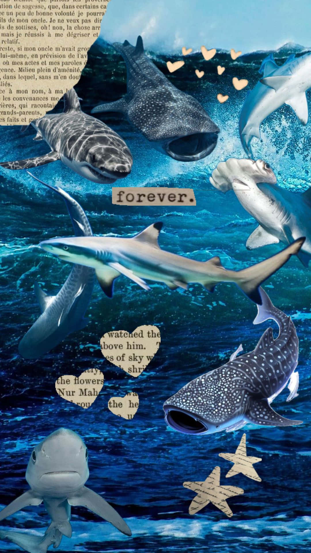 Shark Collage Aesthetic Forever Wallpaper