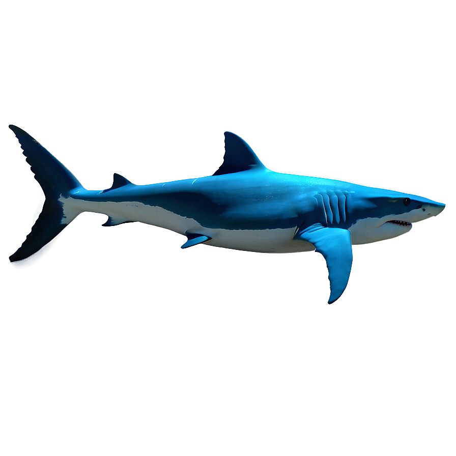 Download Shark Family Png 05032024 | Wallpapers.com