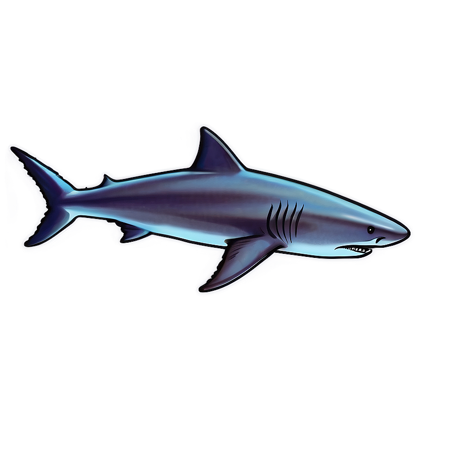 Shark Illustration Png 05032024 PNG