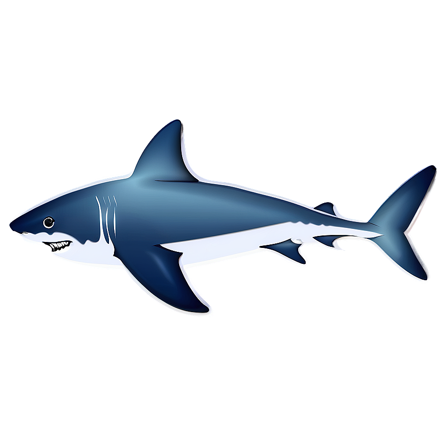 Shark Illustration Png 94 PNG