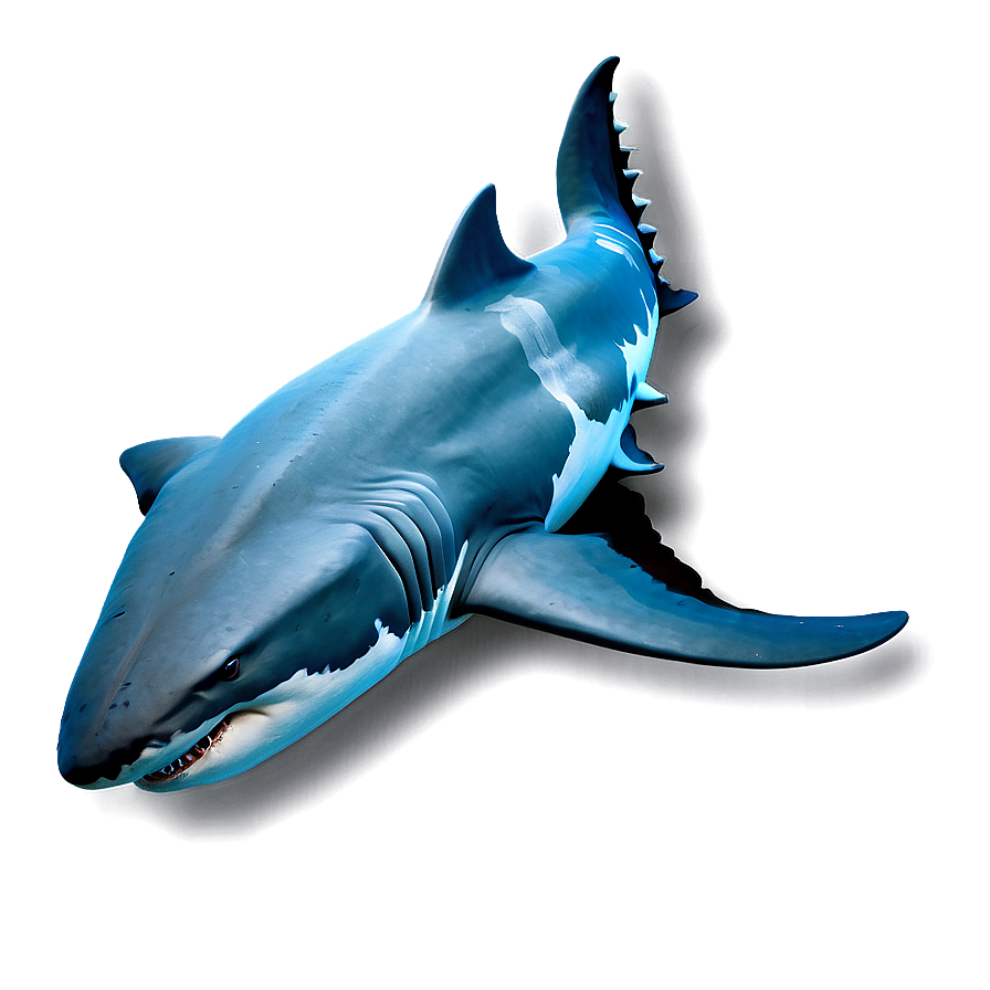 Shark In Ocean Png 25 PNG