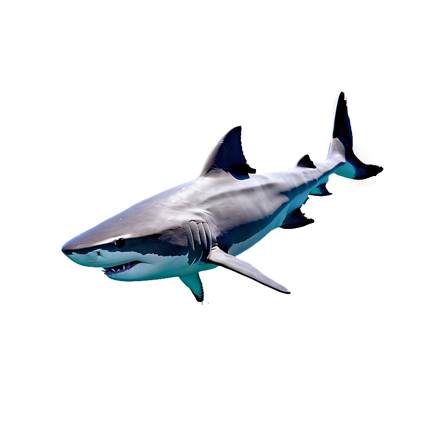 Shark In Water Png 57 PNG