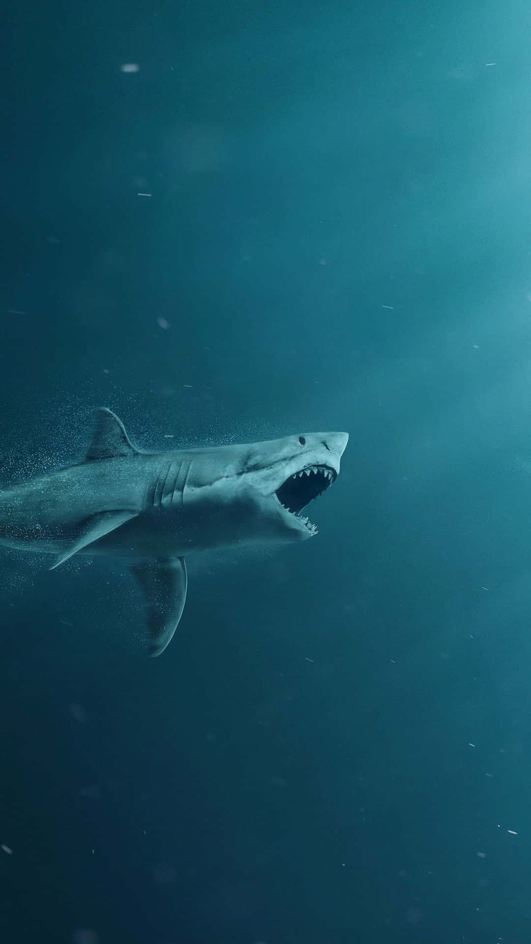 Dyk ned i din næste iPhone med en haj svømning telefon baggrund. Wallpaper