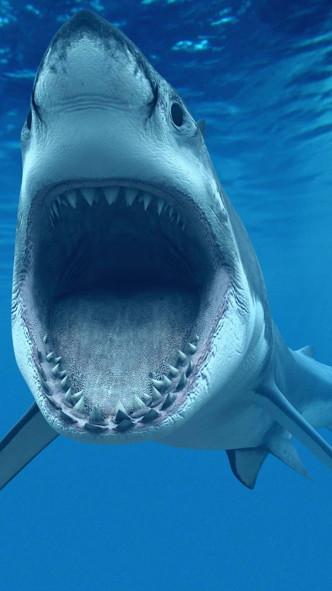 ¡prepáratepara La Semana Del Tiburón Con El Fondo De Pantalla De Tiburón Para Tu Iphone! Fondo de pantalla