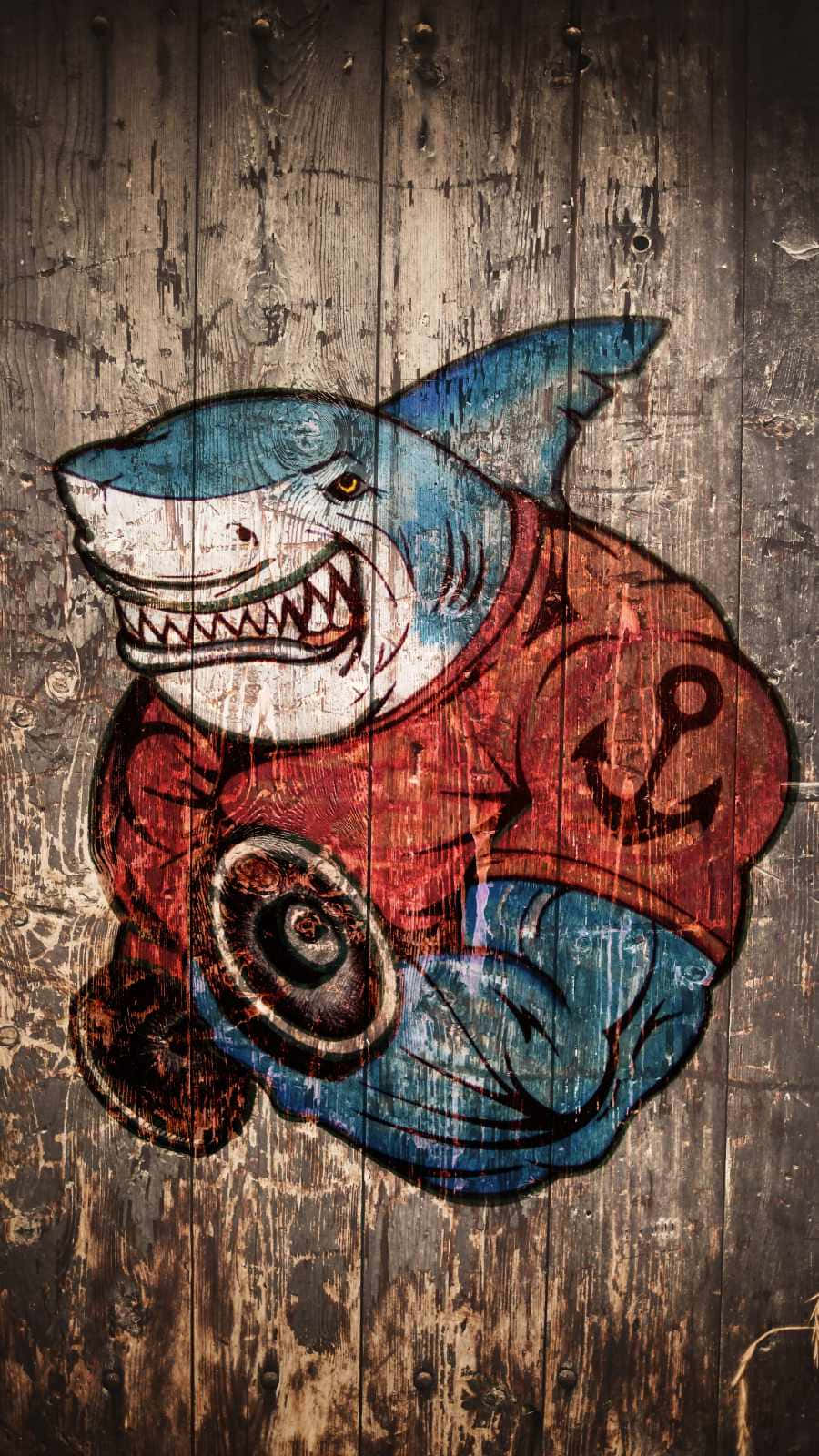 Få det seneste udvalg af iPhones med Shark Look! Wallpaper