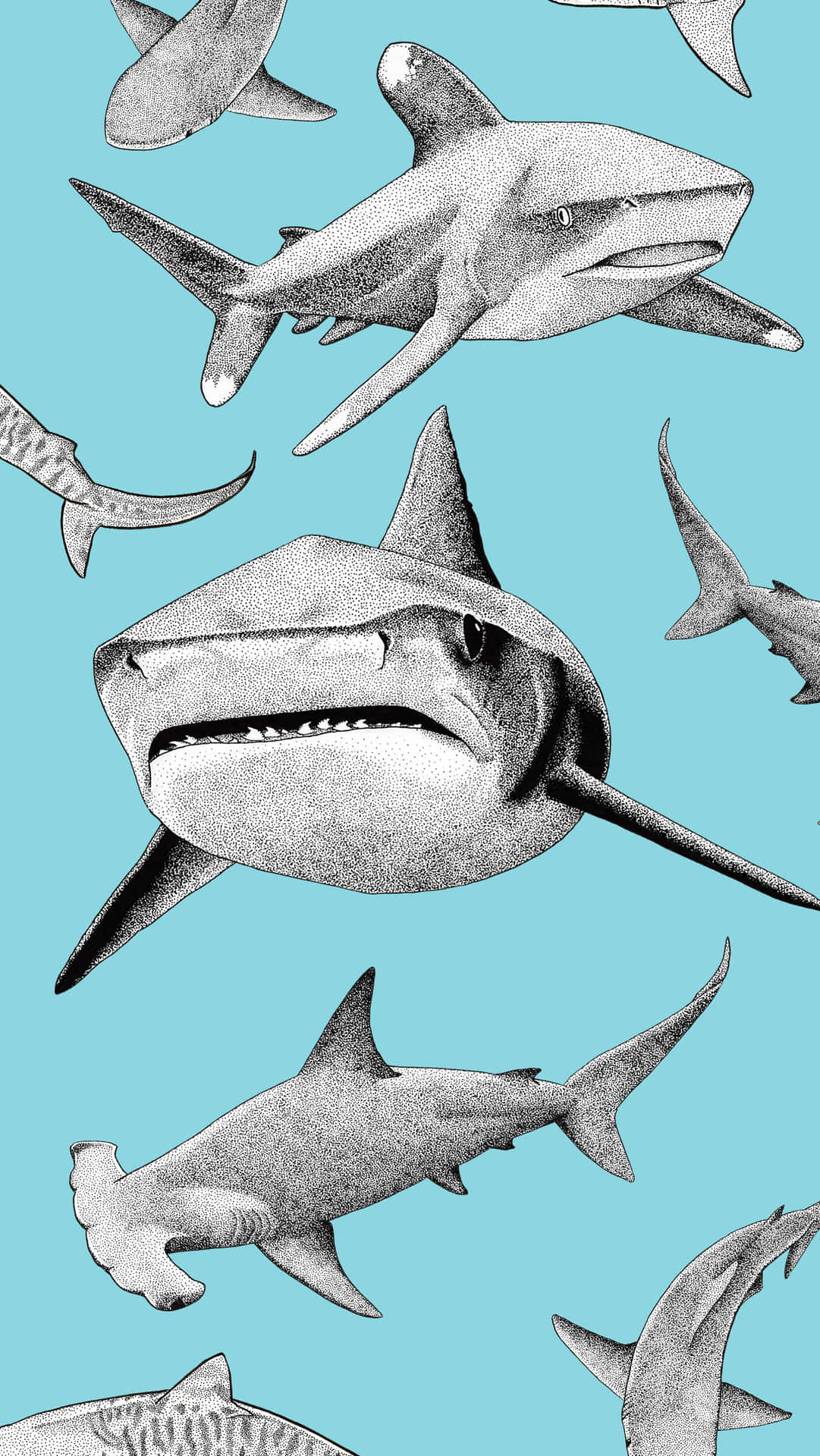 Lås din telefon op med den kraftfulde haj iPhone tapet. Wallpaper