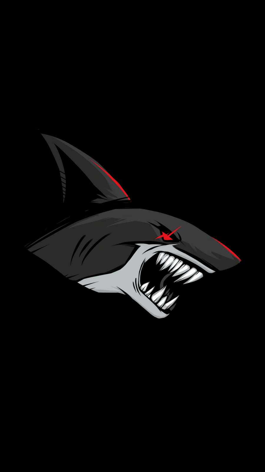 Dive into Adventure with this Shark Iphone! Wallpaper