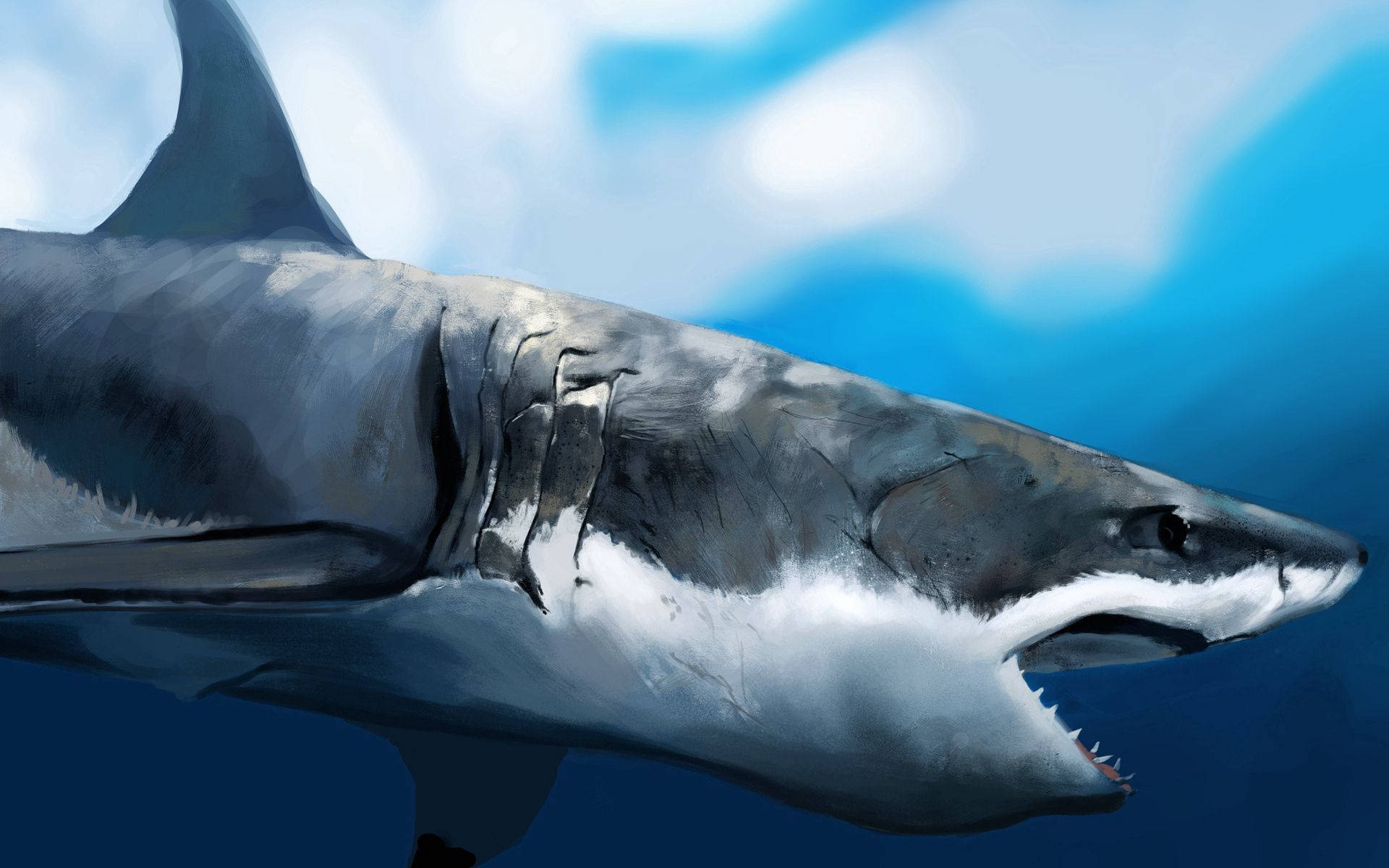 Shark Maw With Sharp Teeth Wallpaper