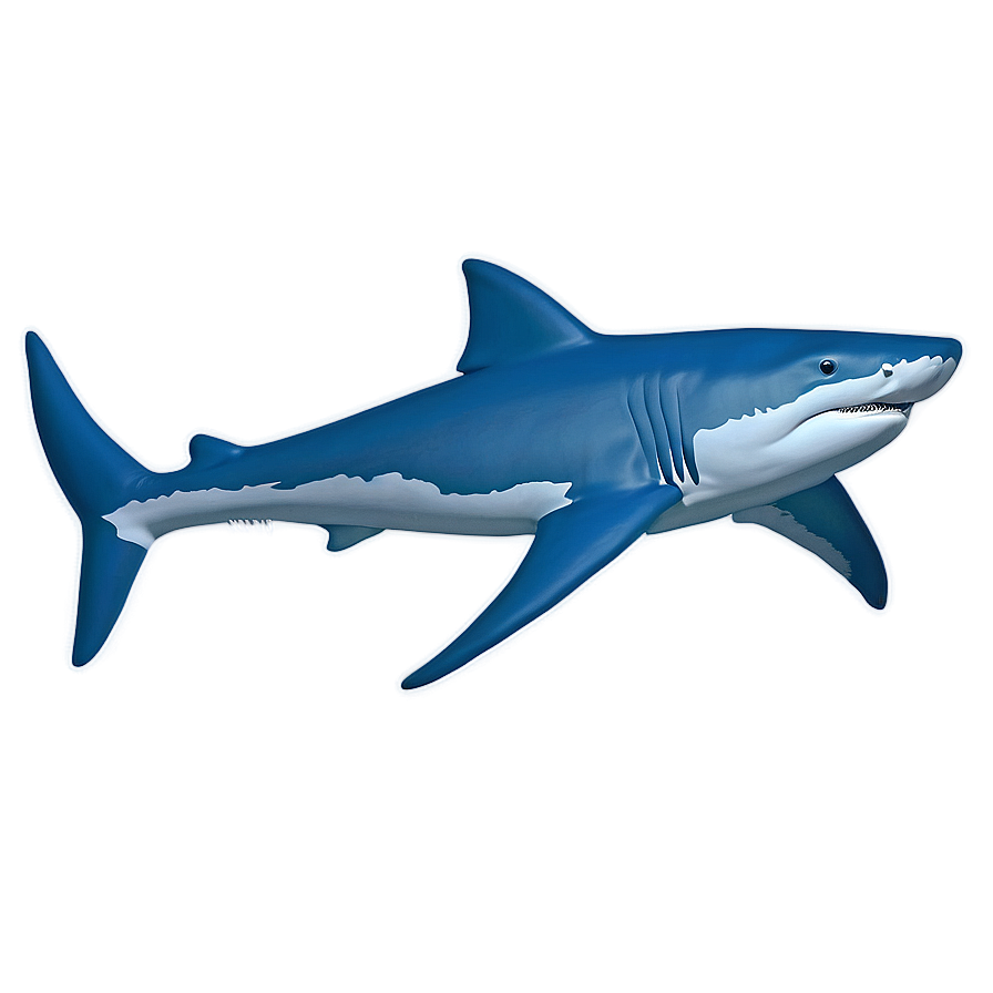 Shark Outline Drawing Png 90 PNG