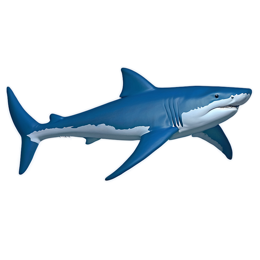 Download Shark Outline Drawing Png 90 | Wallpapers.com