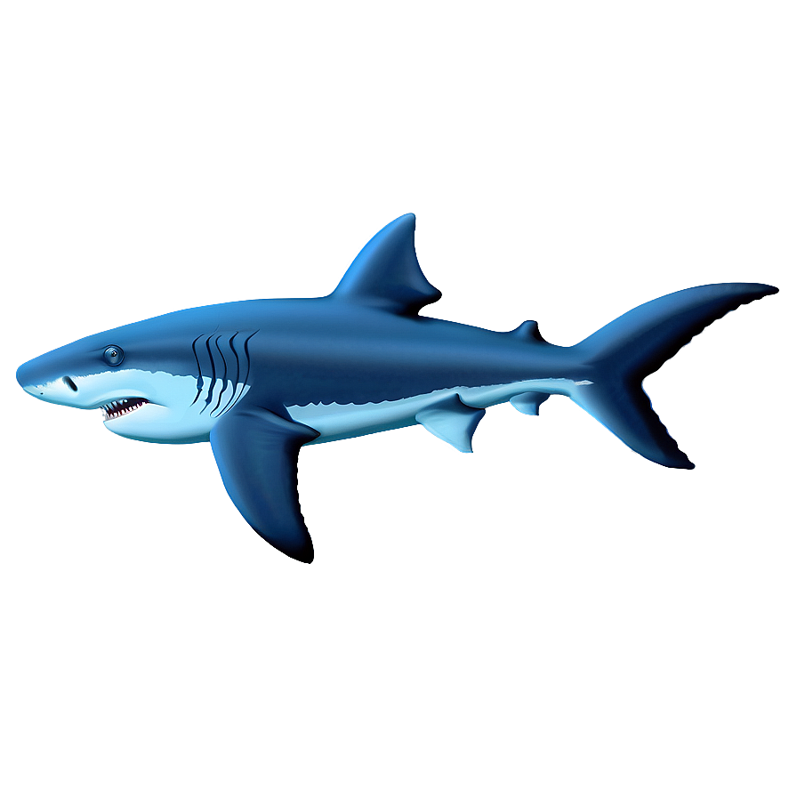 Download Shark Outline Drawing Png Clf | Wallpapers.com