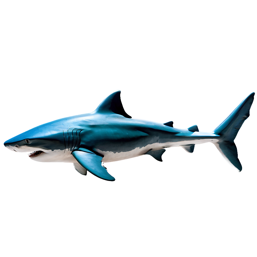 Shark With Sunglasses Png Uce PNG