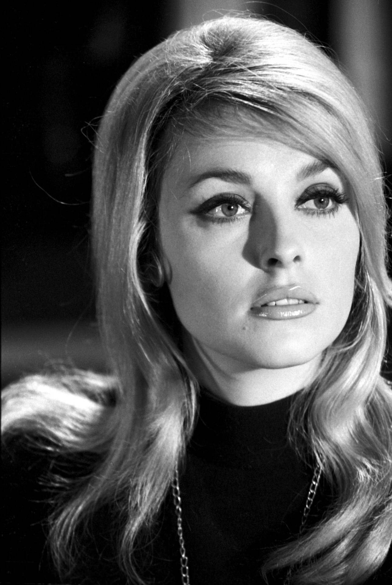 Sharon Tate - The Epitome of Sixties Glamour Wallpaper