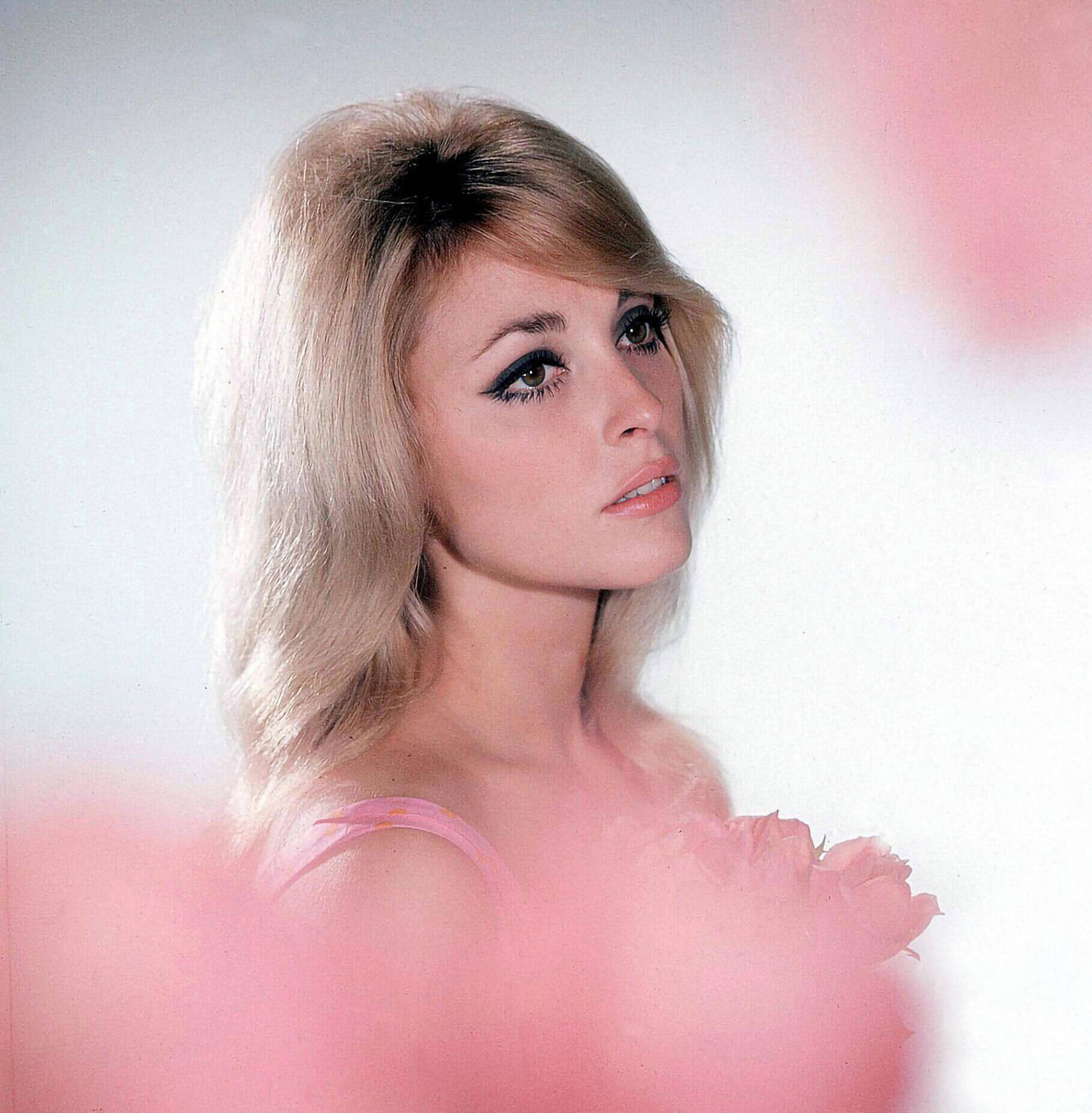 Sharon Tate Dreamy In Pink Wallpaper