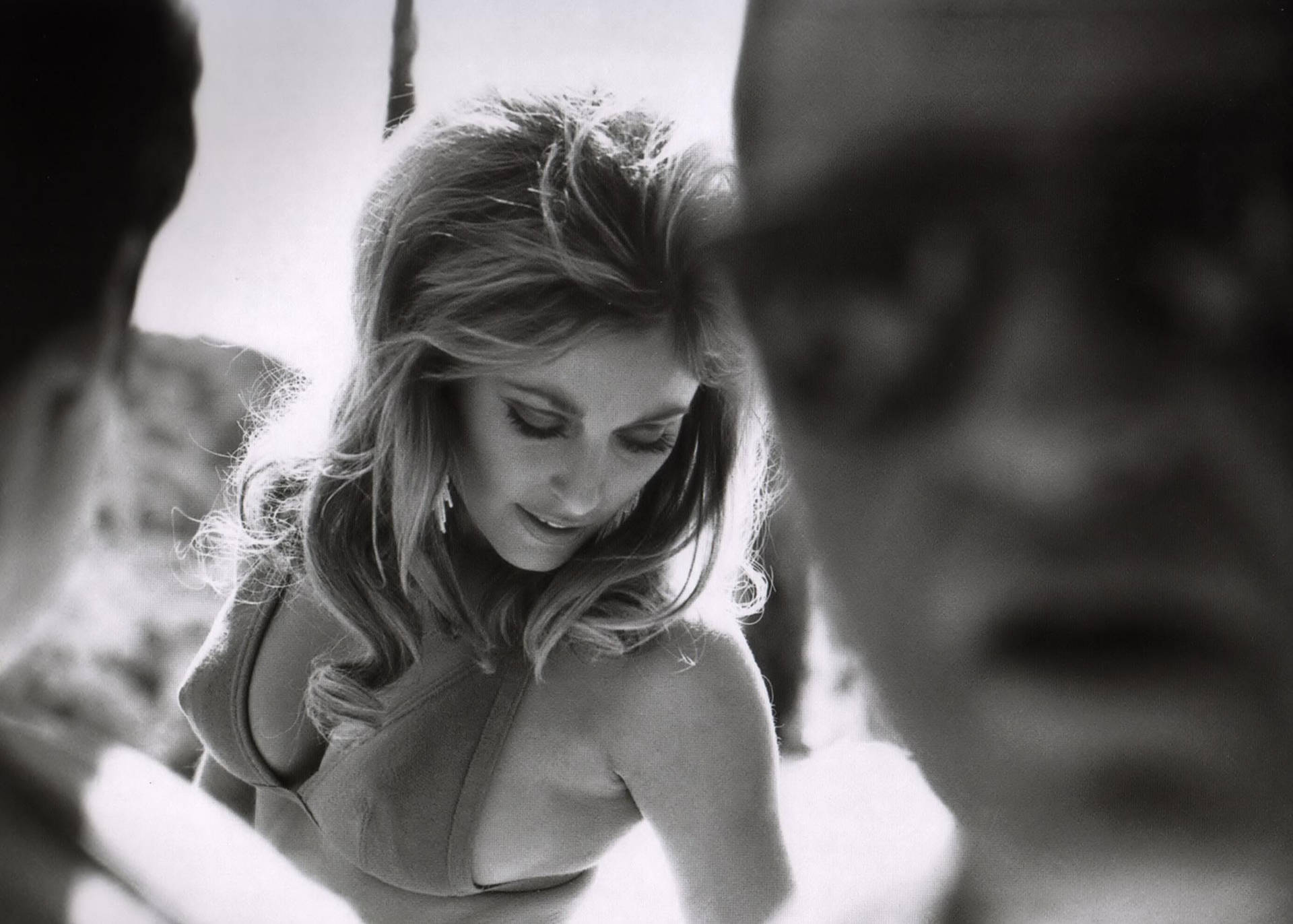 Sharon Tate - A Timeless Beauty From Hollywood's Golden Age Wallpaper