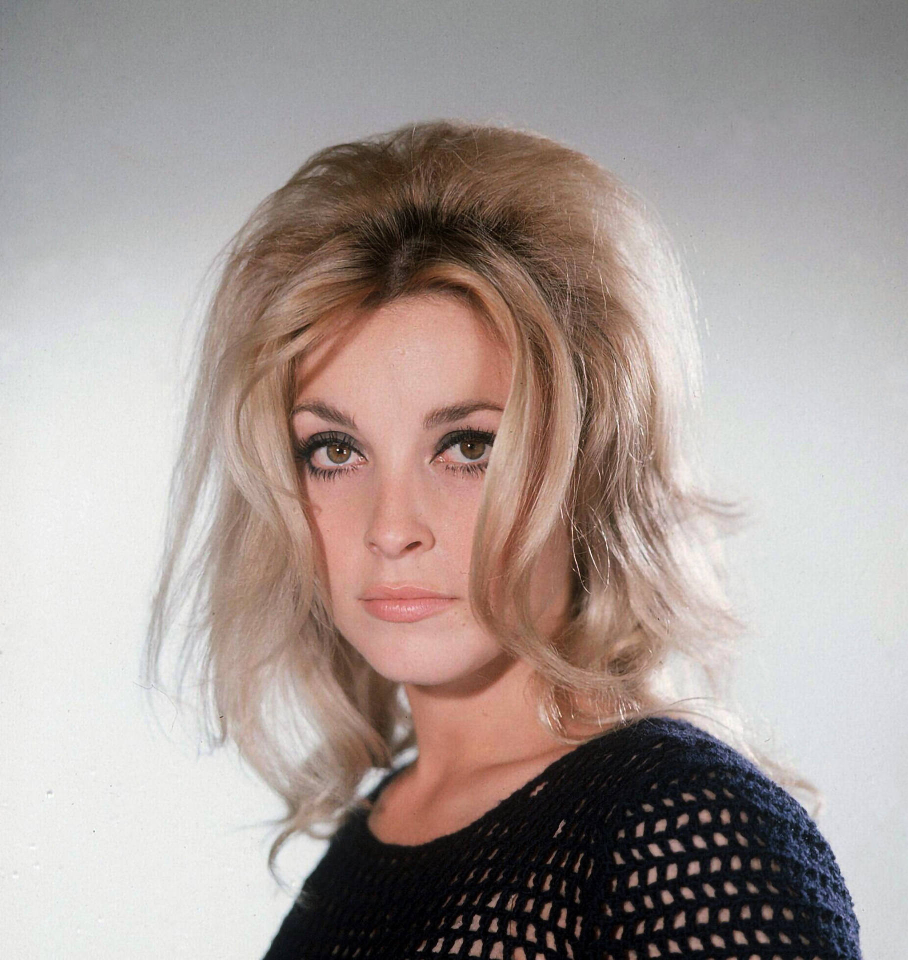 Sharon Tate Posing with Elusive Messy Hairstyle Wallpaper