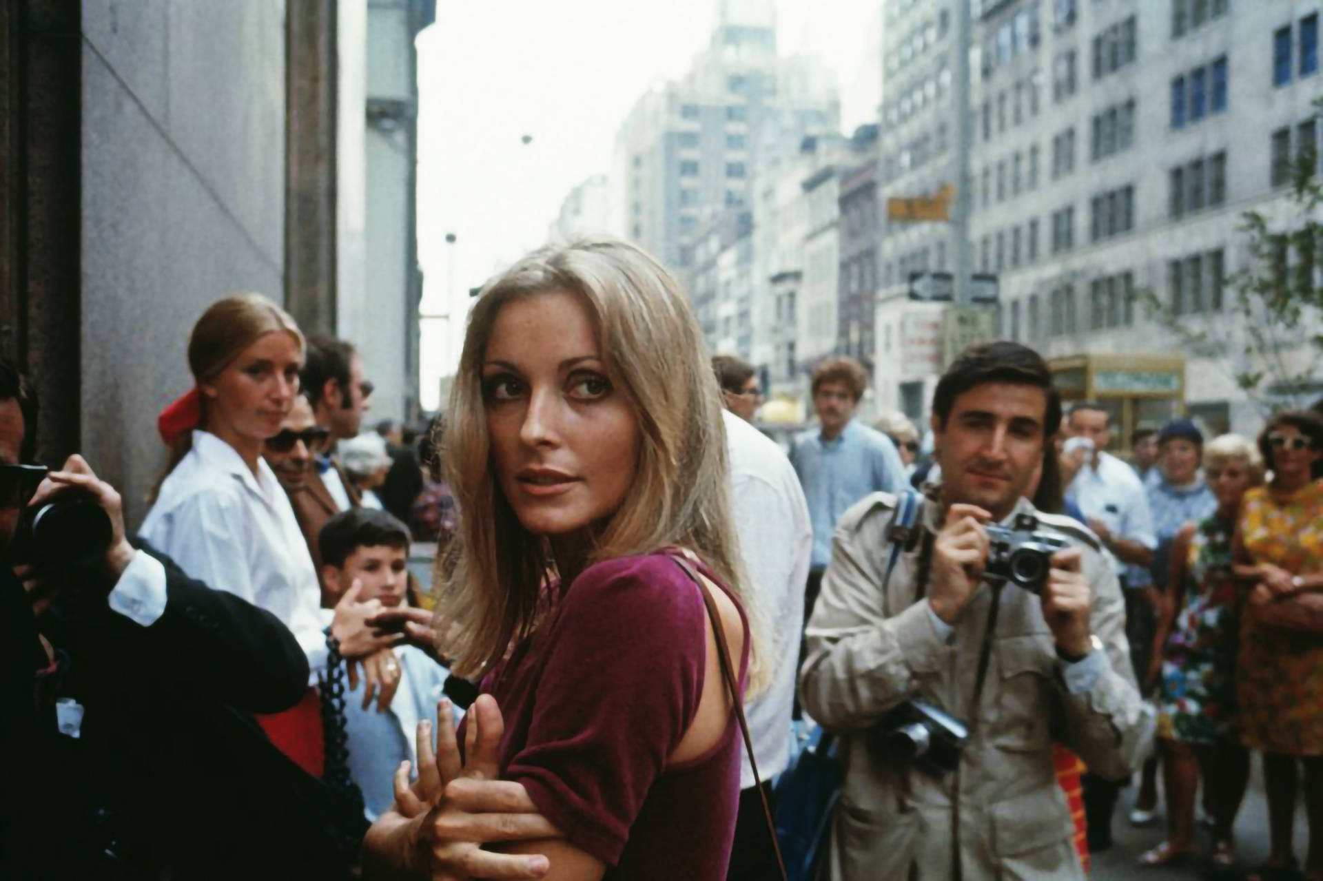 Sharon Tate Surrounded By Paparazzi Wallpaper