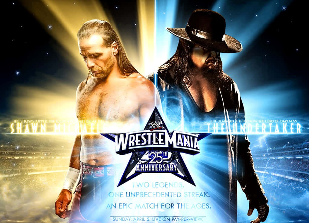 Shawn Michaels The Undertaker 25th Year Wrestlemania Background
