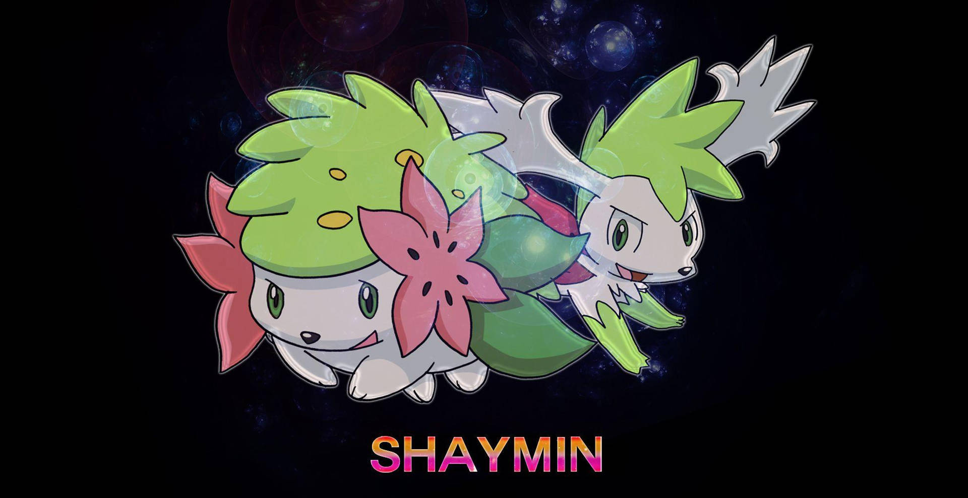 Shaymin With Name Wallpaper