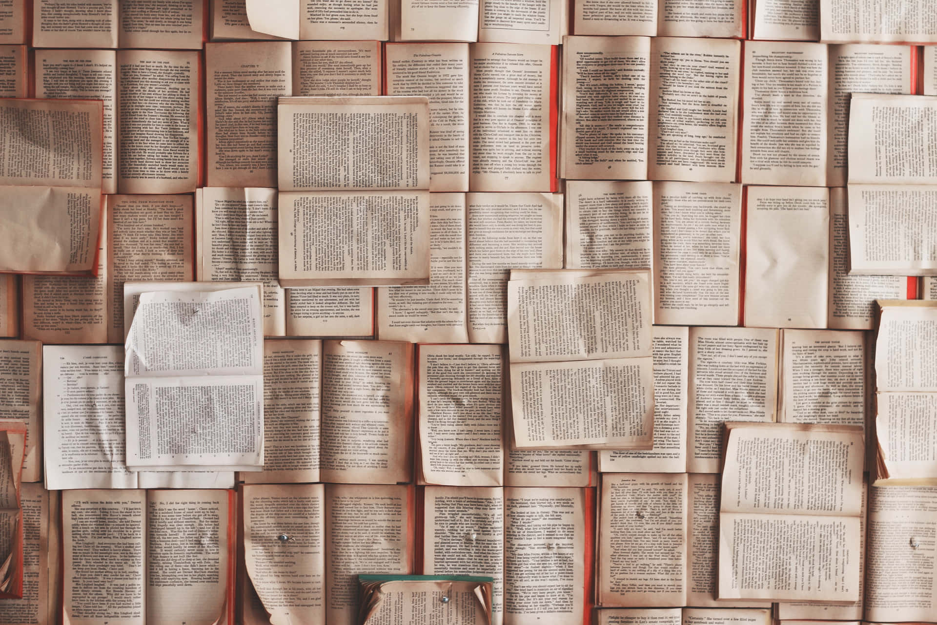 A Wall Of Books On A Wall Wallpaper