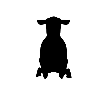 Sheep Silhouette Graphic PNG