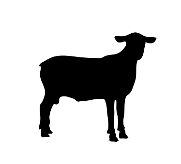 Sheep Silhouette Graphic PNG