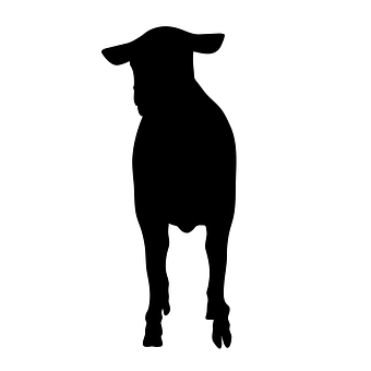 Sheep Silhouette Graphic PNG