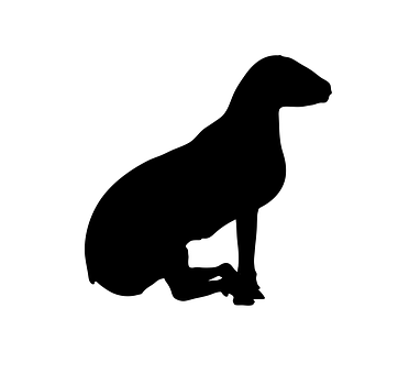 Sheep Silhouette Profile PNG
