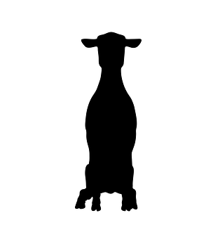 Sheep Silhouette Profile PNG