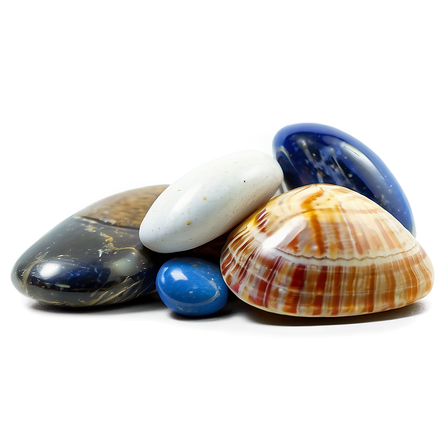 Shell And Beach Pebbles Png Gpx45 PNG