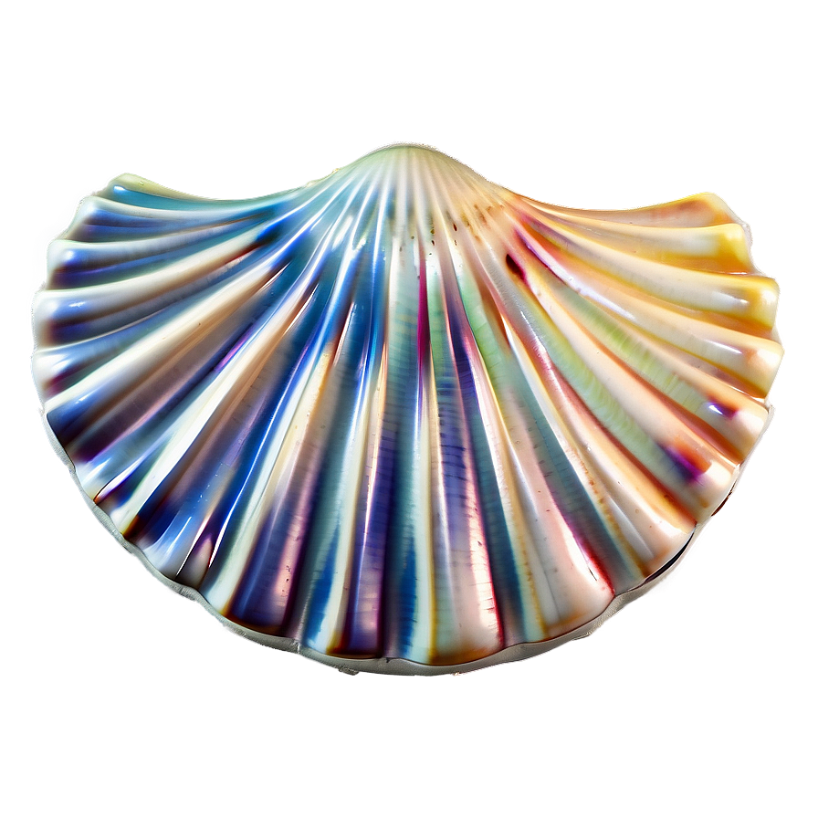 Shell In Ocean Breeze Png Rob34 PNG