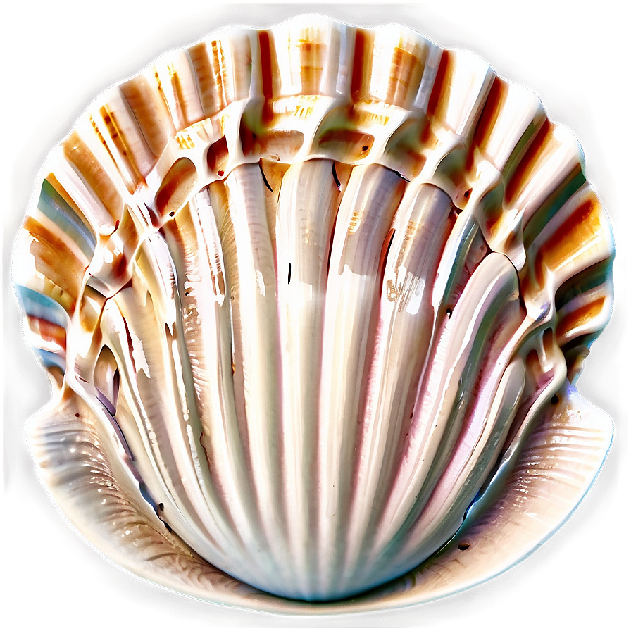 Shell With Waves Png 05212024 PNG