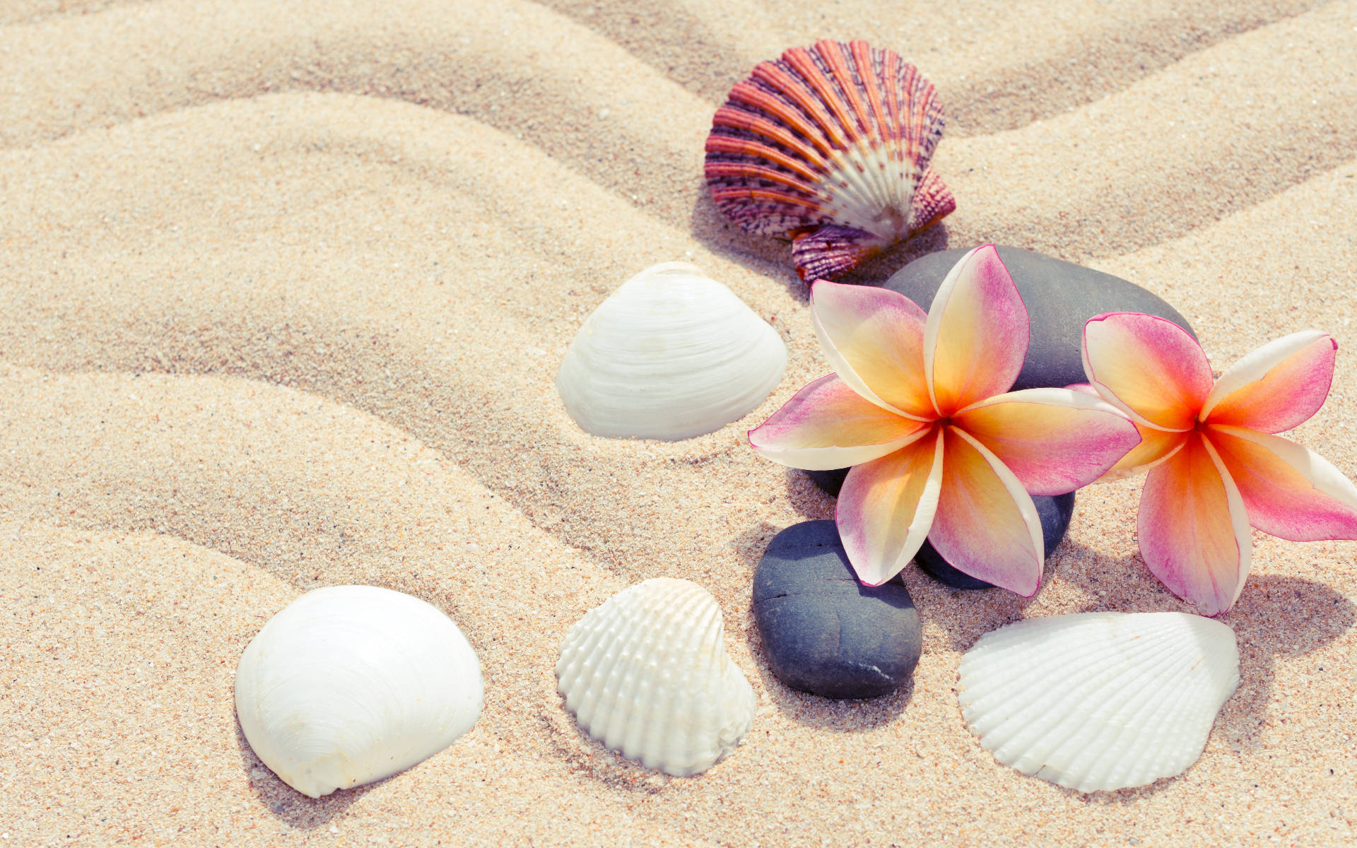 Shells And Flowers On Sand Wallpaper