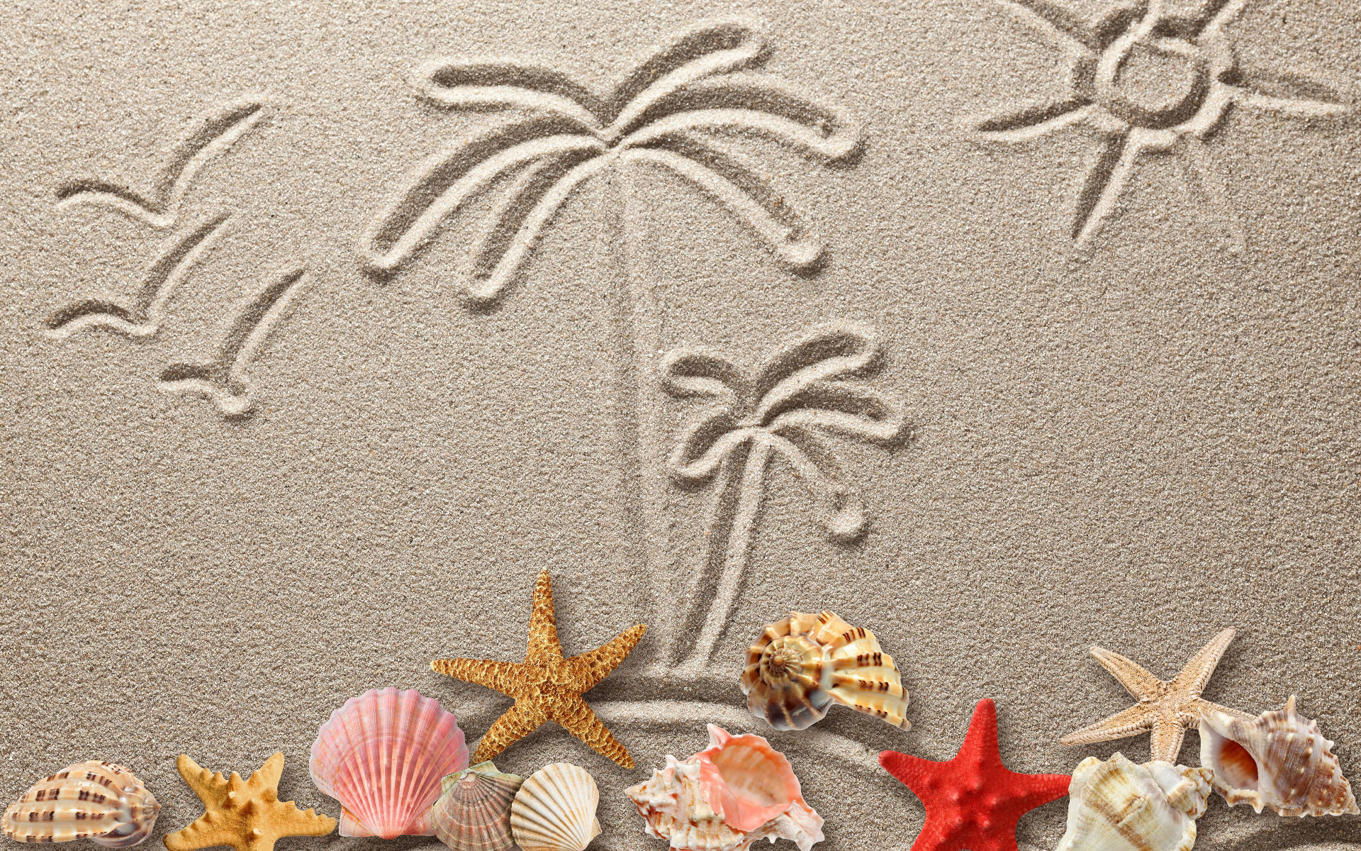 Shells And Sand Drawing Wallpaper