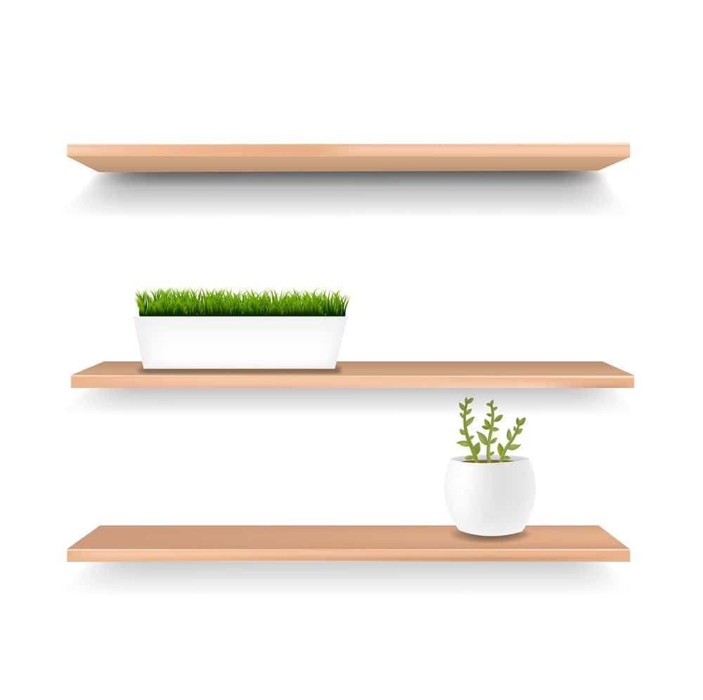 Three Wooden Shelves With A Potted Plant On Them