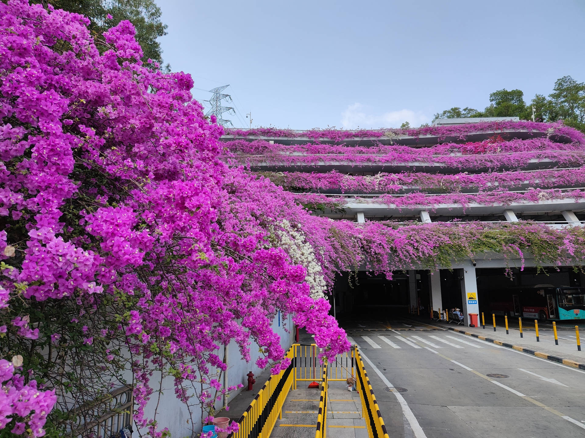 Shenzhen Floral Parking Lot