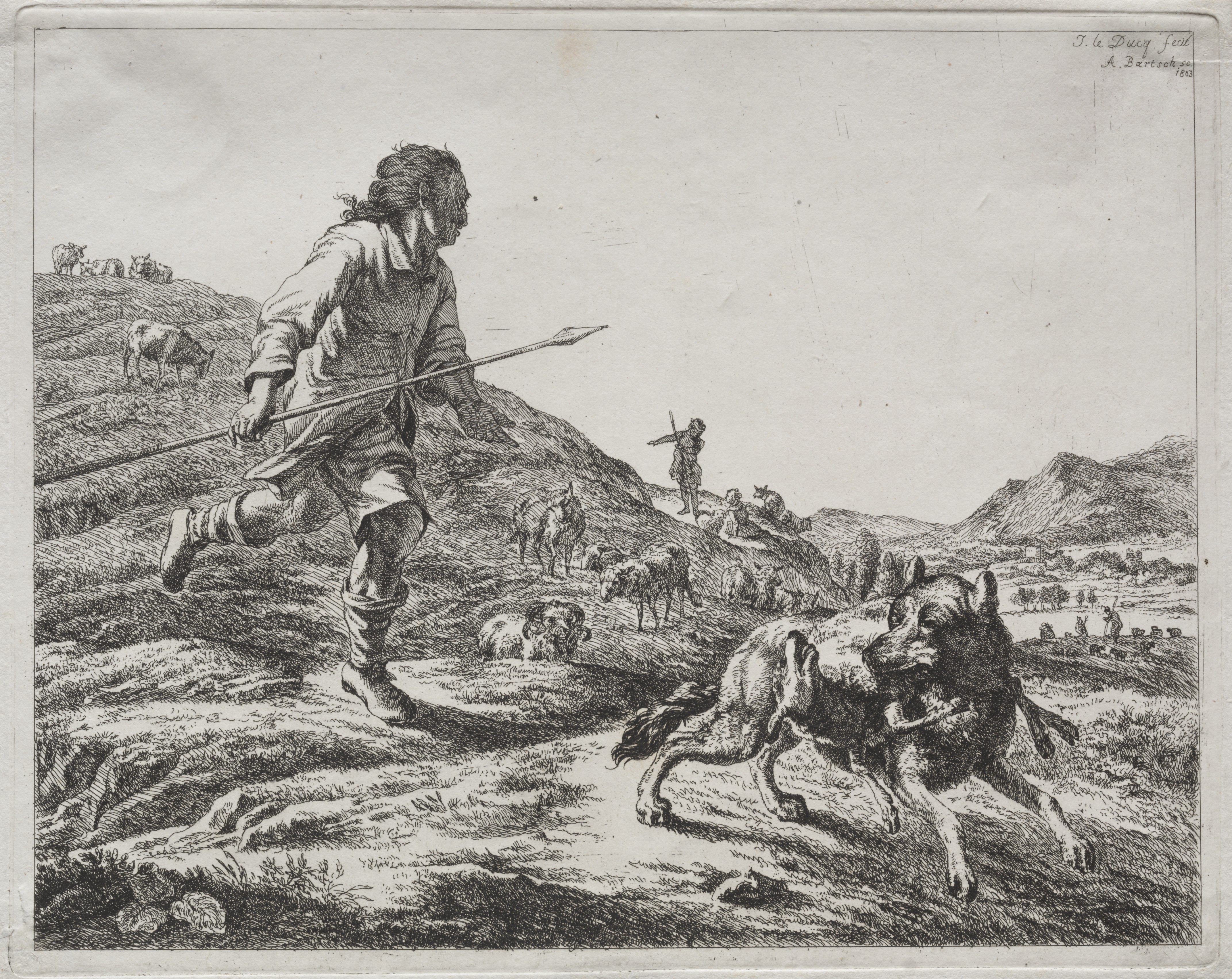 Shepherd Chasing a Wolf Wallpaper