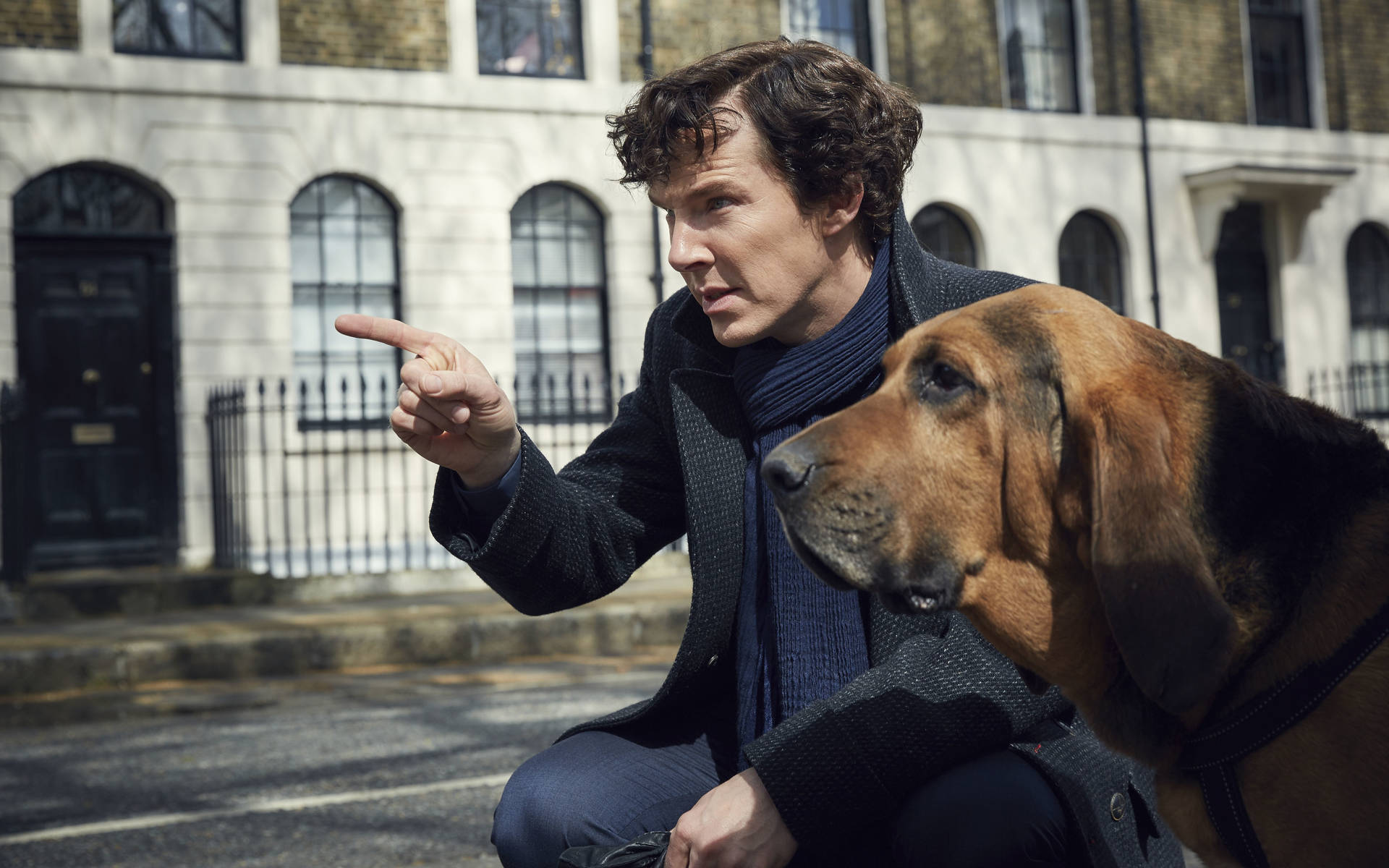 Sherlock With Dog